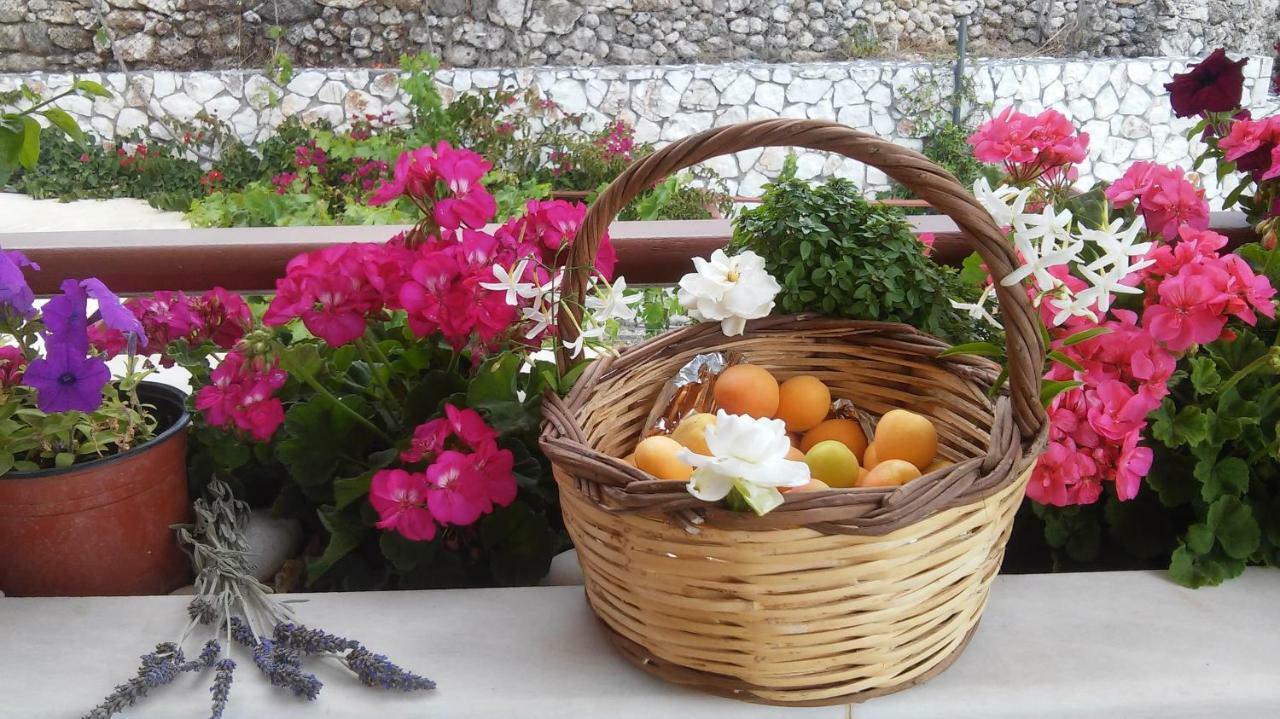 Rania Apartments Helmata Dış mekan fotoğraf